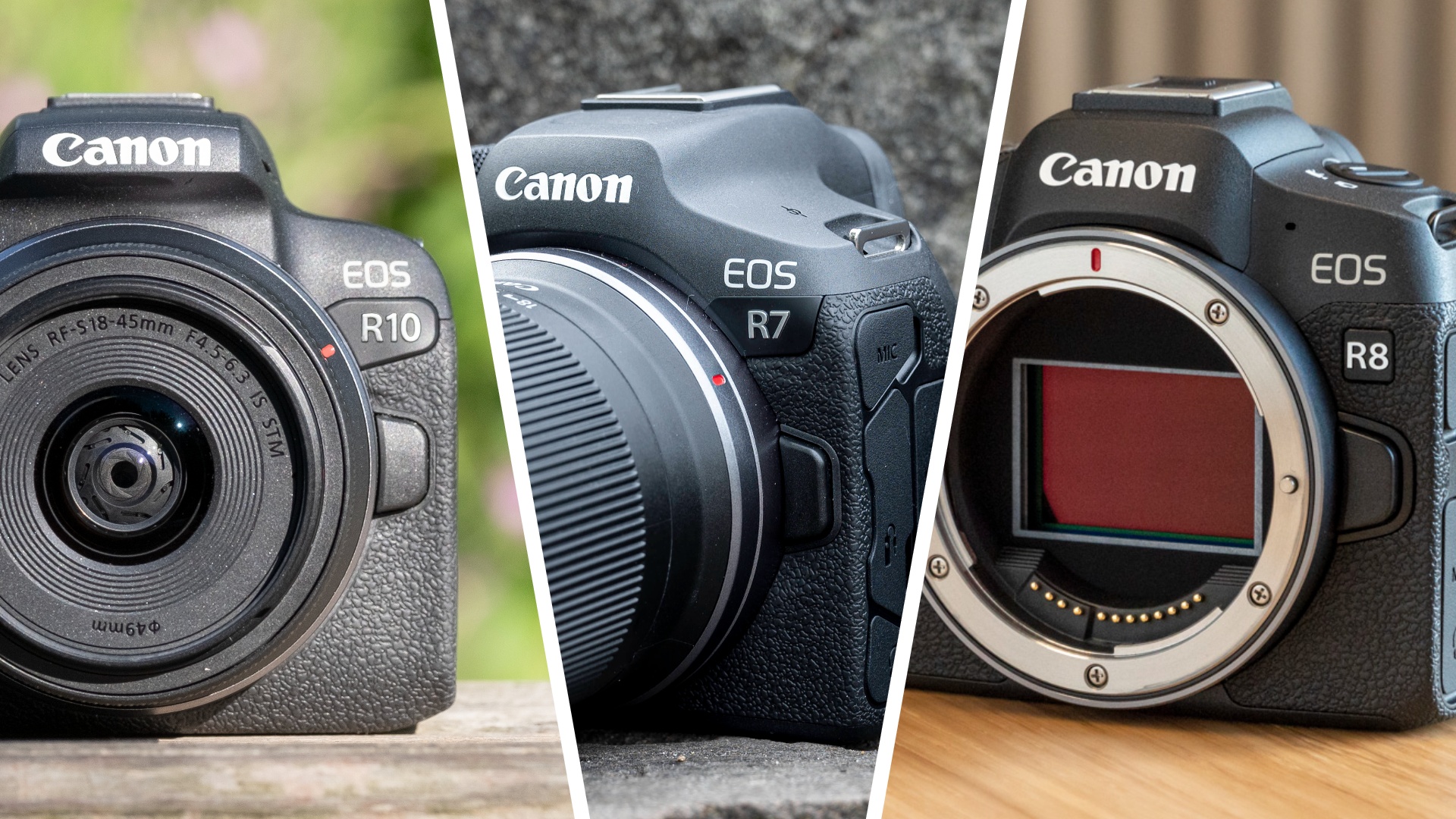 Canon 1 fotonu 3D modelə çevirən pulsuz Windows 11 proqramı təqdim etdi