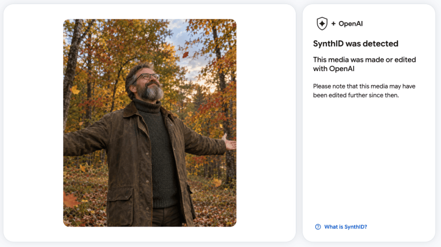 Google AI ilə hazırlanan foto, video və səsləri yoxlayan aləti hamıya açdı