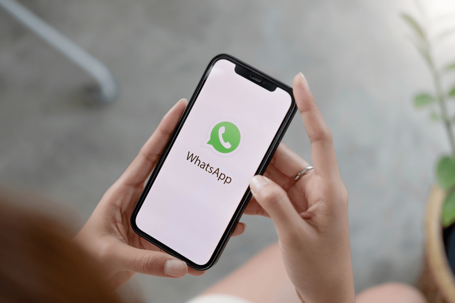 whatsapp-da-sosial-sebke-funksiyalari-istifadeye-verilib