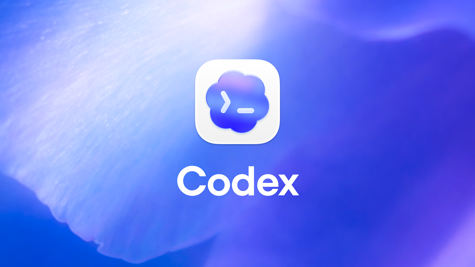 openai-codex-ucun-chrome-elavesini-teqdim-etdi