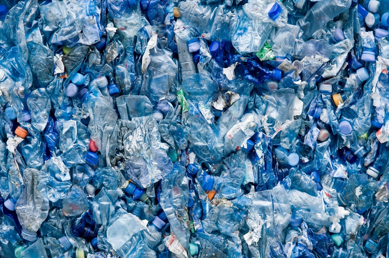 plastik-materiallarin-parcalanmasi-ucun-mum-qurdlarindan-istifade-nezerden-kecirilir