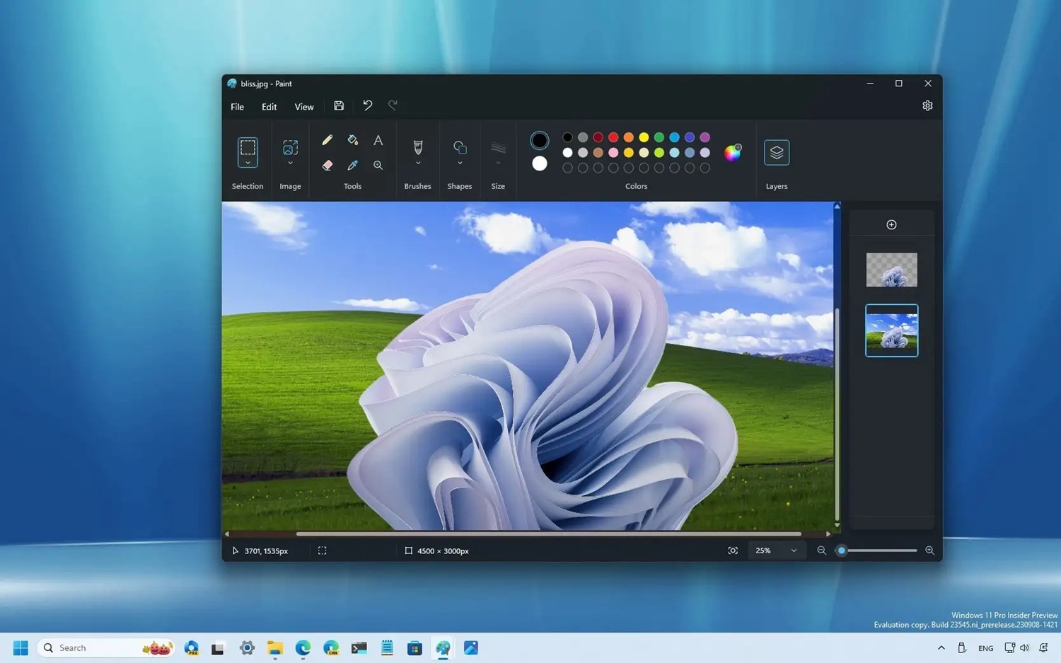 paint-suni-intellekt-vasite
